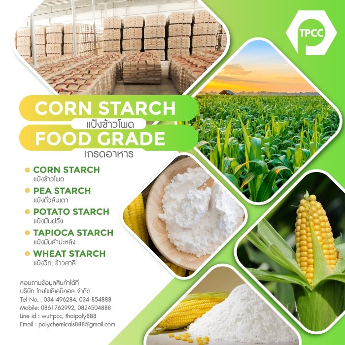 แป้งข้าวโพด, Corn starch, คอร์นสตาร์ช, แป้งข้าวโพดไทย, Thailand cornstarch, แป้งข้าวโพดจีน, China cornstarch